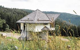 Forsthaus Gray 4